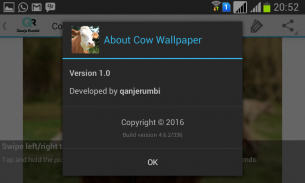 Cow Wallpaper screenshot 0