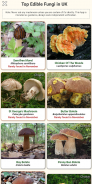 Shroomify - Mushroom Identific screenshot 2