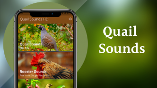 Quail Sounds & Calls screenshot 6