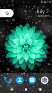 Flower Sprinkle HD Wallpapers screenshot 0