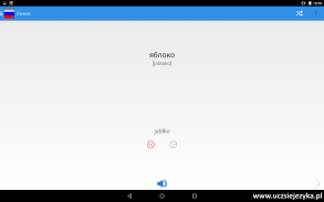 Rosyjski - Ucz się języka screenshot 10