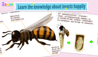 昆虫世界-蜜蜂 有趣的儿童互动绘本故事书 screenshot 3