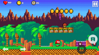 Classic Echidna screenshot 1