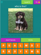 dog breeds quiz screenshot 21