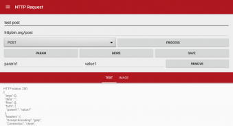 HTTP request screenshot 3