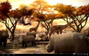 Africa 3D Free Live Wallpaper screenshot 5