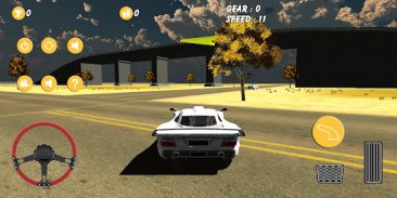 Real Car Drive - Desert Drive screenshot 1