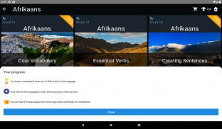 Afrikaans Language Tests screenshot 7