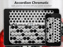 Accordion Chromatic Button screenshot 0