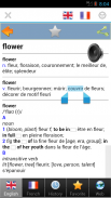 French dictionary screenshot 6