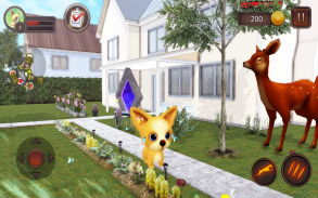 Chihuahua Dog Simulator screenshot 6