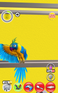 My Talking Parrot screenshot 4