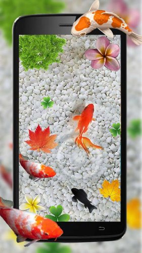 Wallpaper Hd Download For Android Mobile Fish