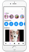 MyPet - Rede Social para Pets screenshot 3