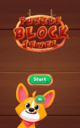 Puzzle Block Jewel screenshot 13