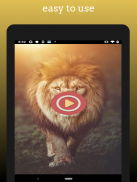Lion sound effects screenshot 0