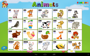 1A: English for kids screenshot 9