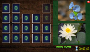 All Vegetals Pairs Memory Game screenshot 0