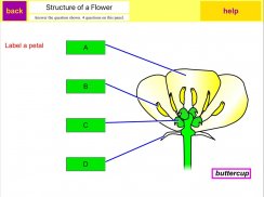 KS3 Science Review screenshot 0