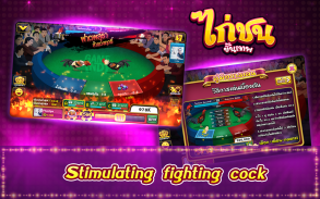Casino boxing Thai screenshot 0