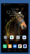 Horses Live Wallpaper screenshot 1