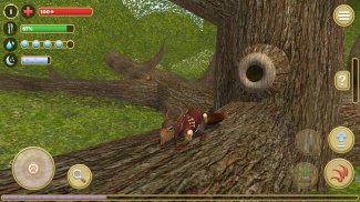 Squirrel Simulator 2 : Online screenshot 0