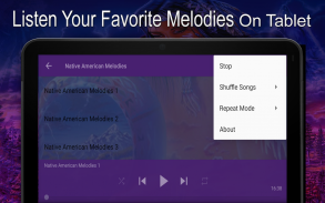 Native American Melodies screenshot 2