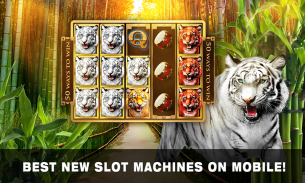 Slots Tiger King Casino Slots screenshot 6