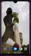 Cricket Bat Wallpaper screenshot 8