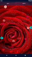 Red Rose Live Wallpaper screenshot 0