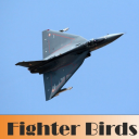 Fighter Birds