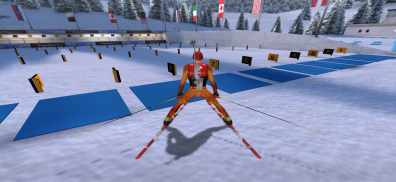 Winter Sports Mania screenshot 4