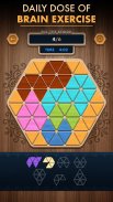 Woody Poly Block Hexa Triangle screenshot 11