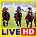 Watch horse racing live streaming Free Icon