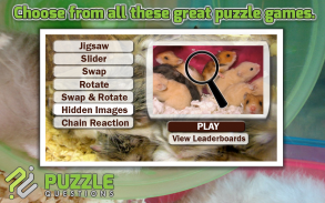 Free Hamster Puzzle Games screenshot 0