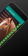 Horse Sounds and Ringtone free screenshot 5