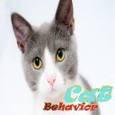 Cat Behavior