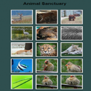 Animal Sanctuary screenshot 2