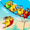 Birds On A Wire: Free Match 3 Icon