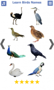 تعليم أسماء الطيور باللغة الان screenshot 7