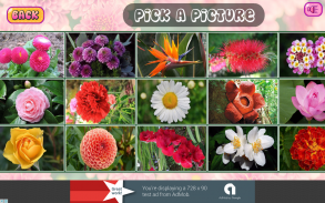 Puzzles of Flowers Free screenshot 11