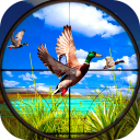 Wild Duck Hunting Icon