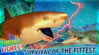 Real Shark Life - Shark Sim screenshot 9