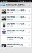SD Card Photo Image Finder 1.0 screenshot 4