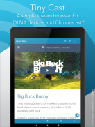 Tiny Cast Browser - Cast to Chromecast / DLNA screenshot 2