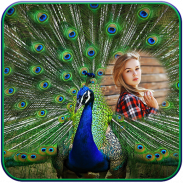 Peacock Photo Frames screenshot 2