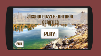 Nature - a puzzle game screenshot 4