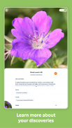 Flora Incognita - identificação de plantas screenshot 1