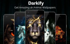 Schwarze Tapete, Dunkler Hintergrund: Dakrify screenshot 2
