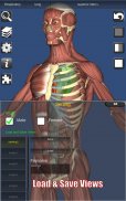 3D Bones and Organs (Anatomy) screenshot 9